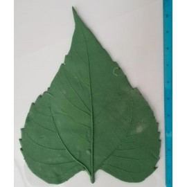 LP142 Medium Pointed Sunflower Rubber Leaf Forms